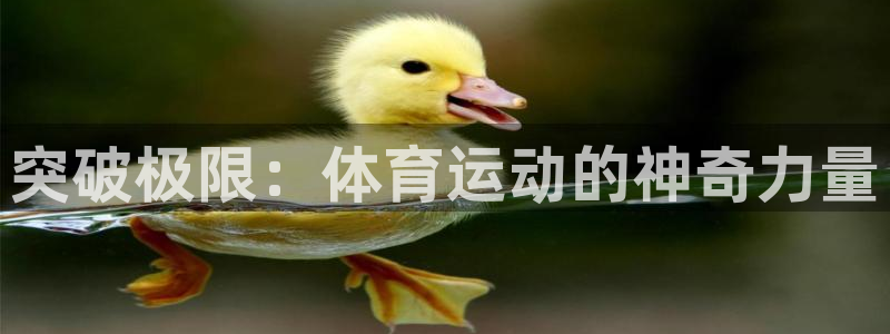 米兰体育客服24小时人工热线电话：突