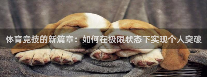 米兰体育网页打不开了：体育竞技的新篇