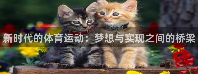 米兰体育报与马拉多纳：新时代的体育运