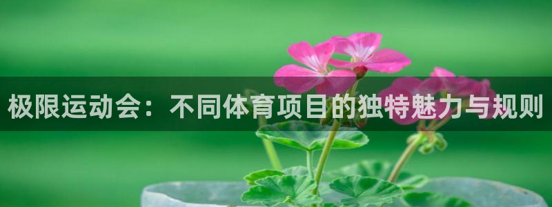 米兰体育与阿拉维斯达成合作协议：极限